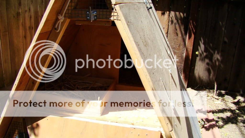 DSC03523.jpg