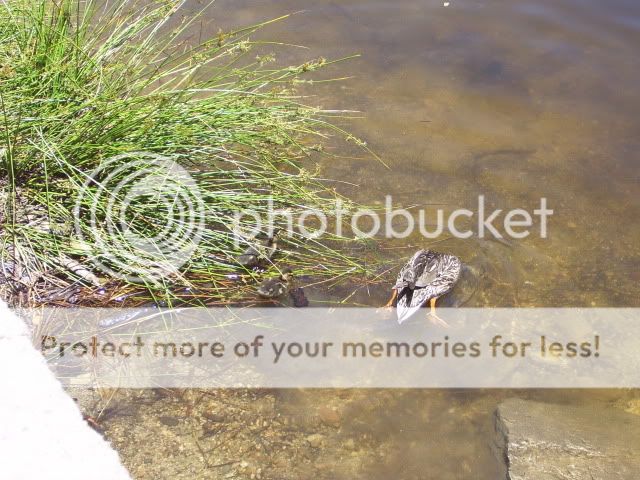 100_3134.jpg
