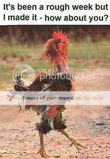 Roughweekchicken.jpg