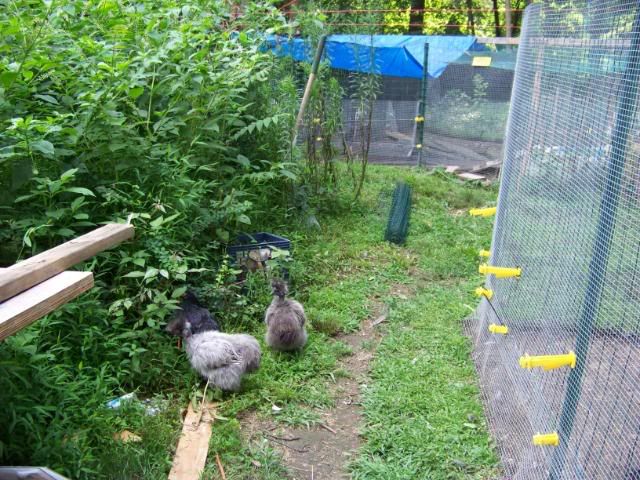 100_3609.jpg