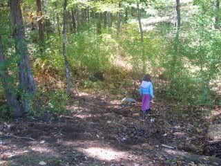 woods2.jpg