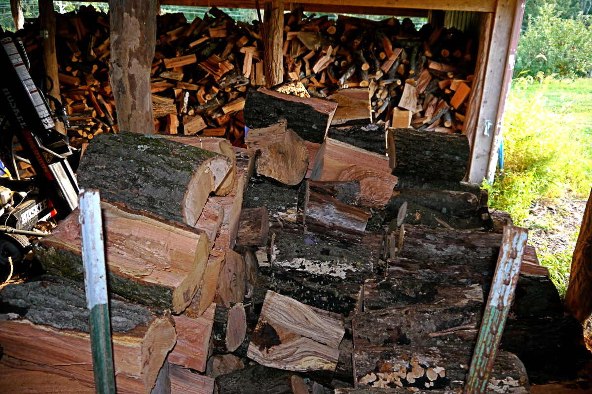 wood2019v.JPG