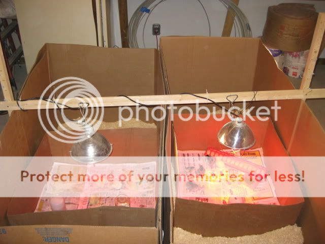 easter049.jpg