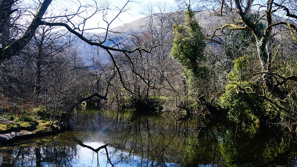 scotland-2548388__340.jpg