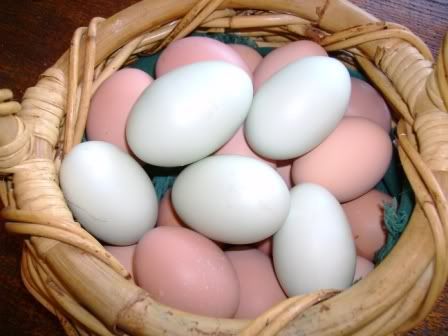 eastereggs.jpg