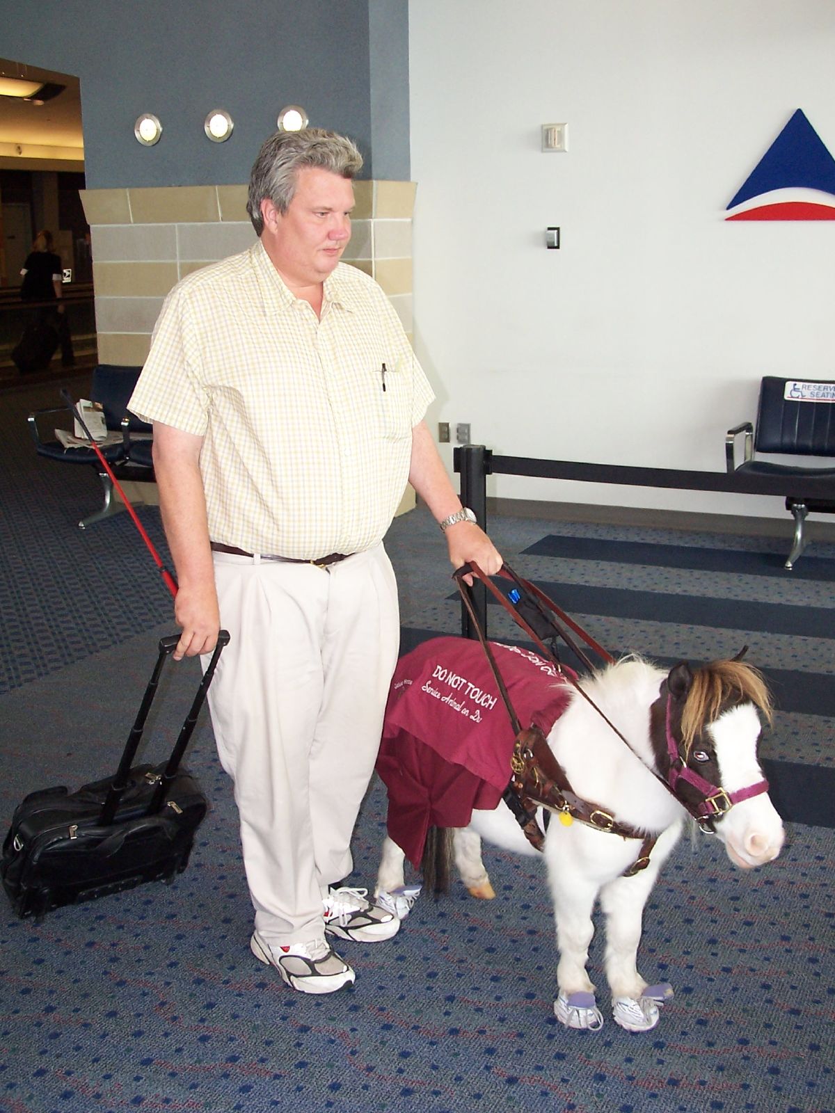 Guide_horse.jpg
