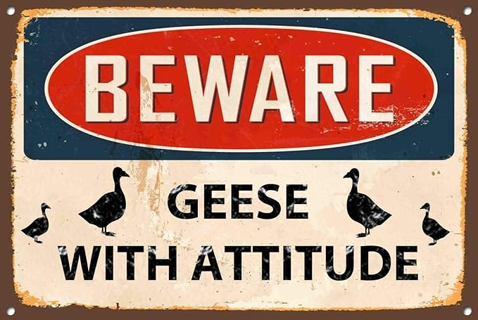 Beware Geese with Attitude Vintage Style Metal Sign Iron Painting for Indoor & Outdoor Home Bar Coffee Kitchen Wall Decor 8 X 12 Inch