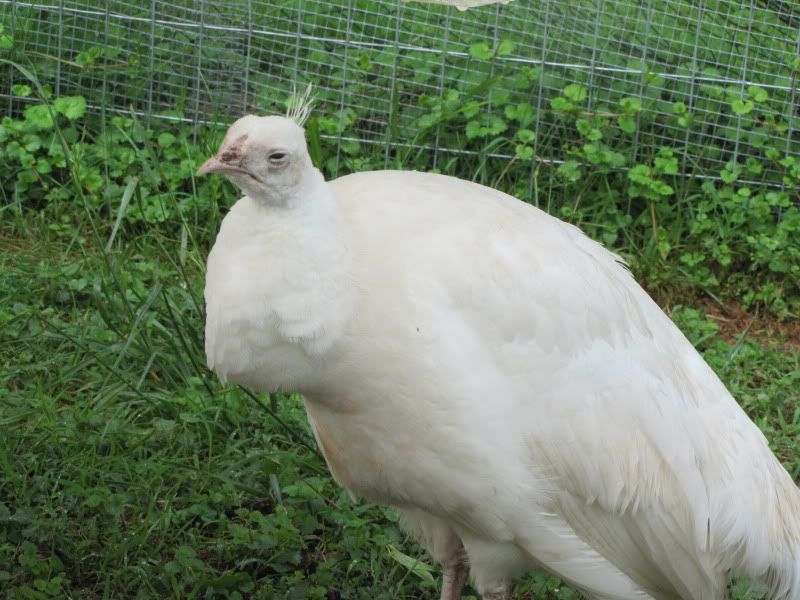 May182011011.jpg