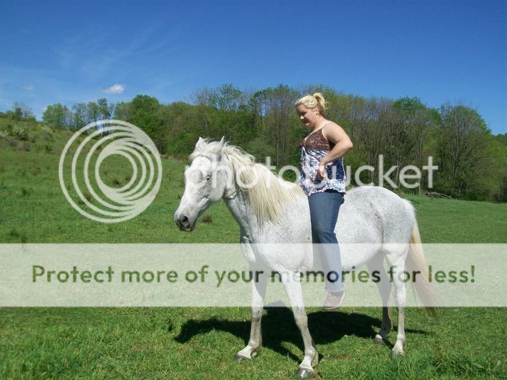 coopnhorses082.jpg