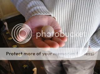 carmelita_egg_punched_2.jpg