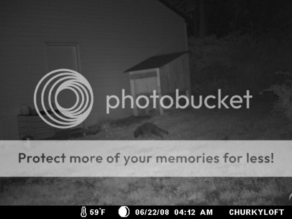 ChurkeyLoft007.jpg