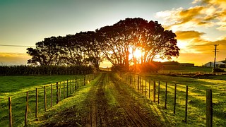 new-zealand-1805939__180.jpg