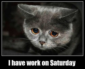 2131108217-have-work-on-saturday-sad-cat.jpg