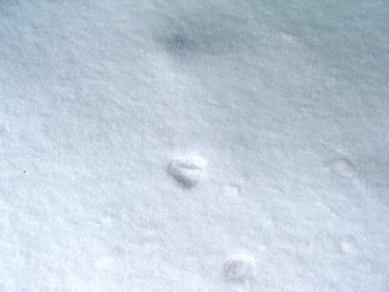 DSCF7948.jpg
