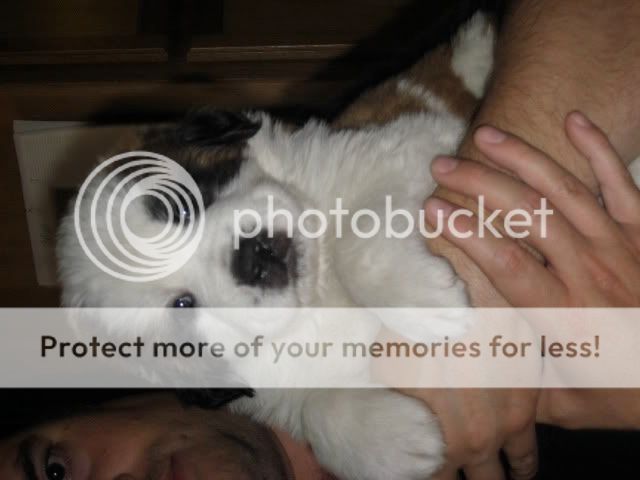 IMG_1209.jpg