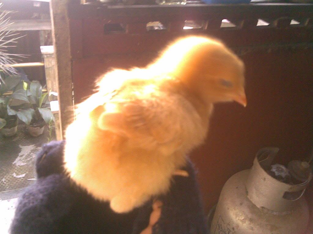 12122007014.jpg