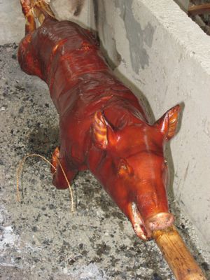 183.jpg