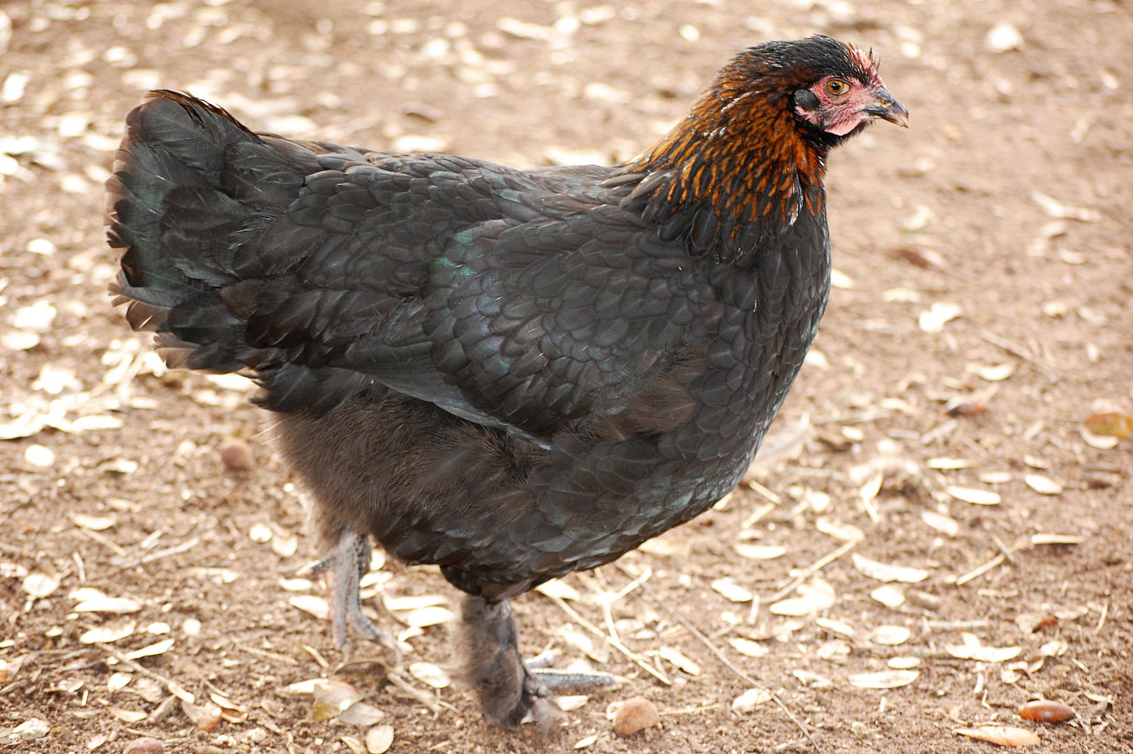 DSC_0104_edited-1.jpg
