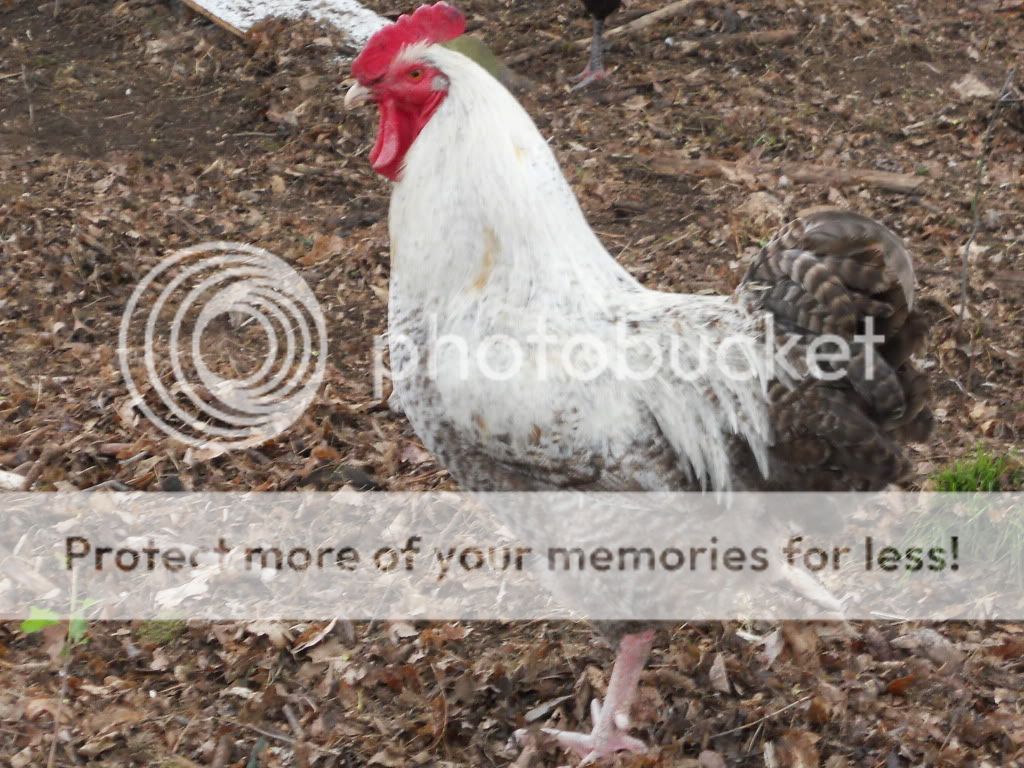 RSCN0182.jpg