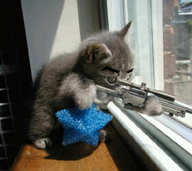 MachineGunKitty.gif