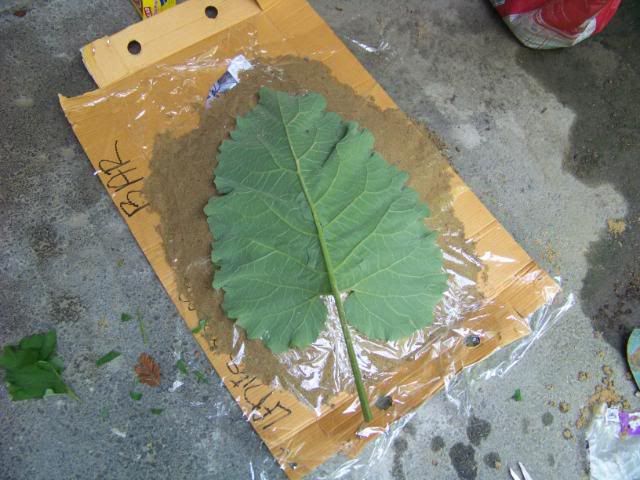 step2.jpg