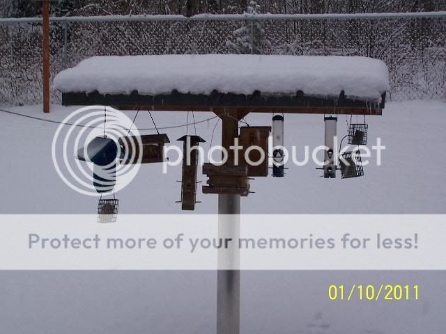jan102011007.jpg