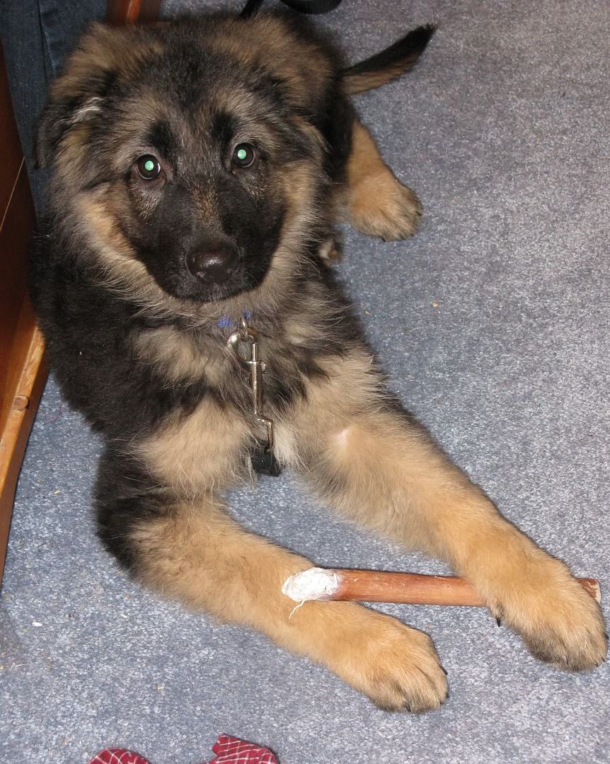 Kyla120108.jpg