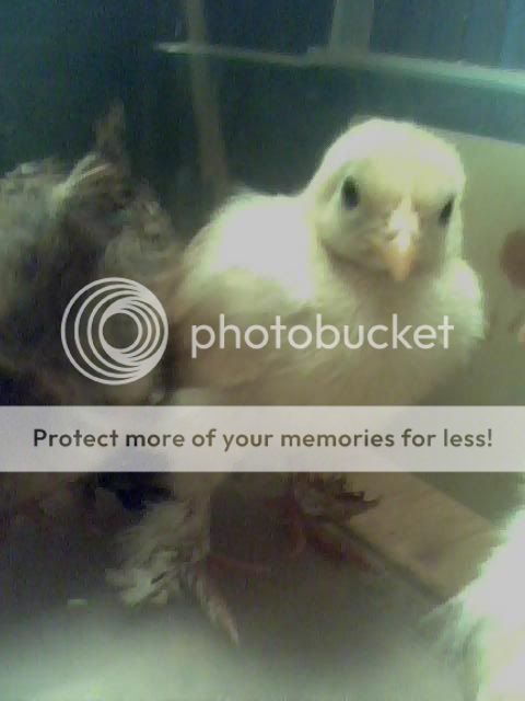 may122010-2.jpg