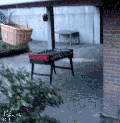 tumblr_ms52x5FlYc1qdlh1io1_250.gif