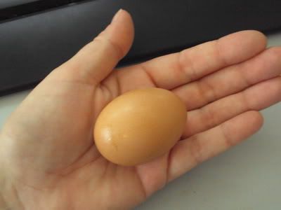 firstegg.jpg