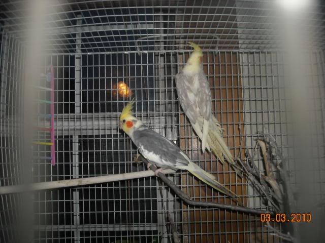 DSCN0250.jpg