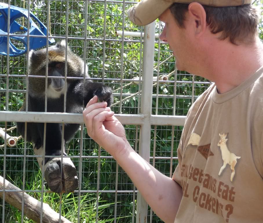 randymonkey1.jpg