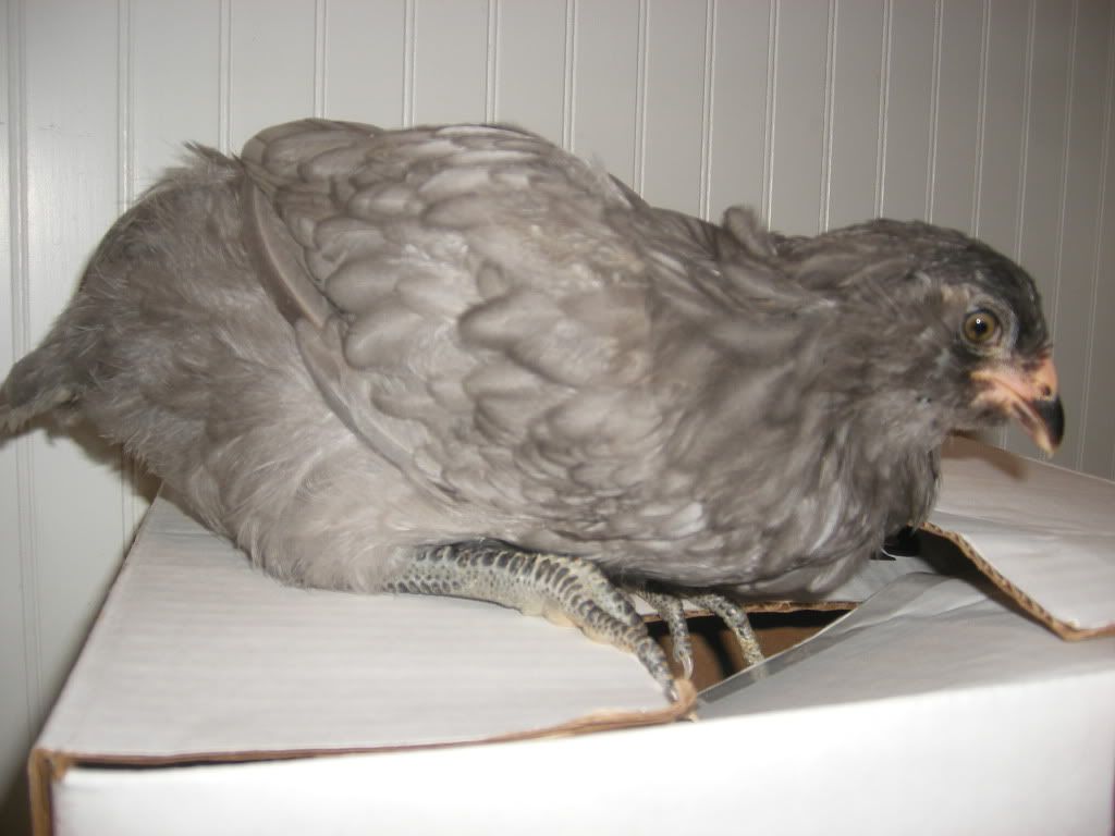 DSCF1938.jpg