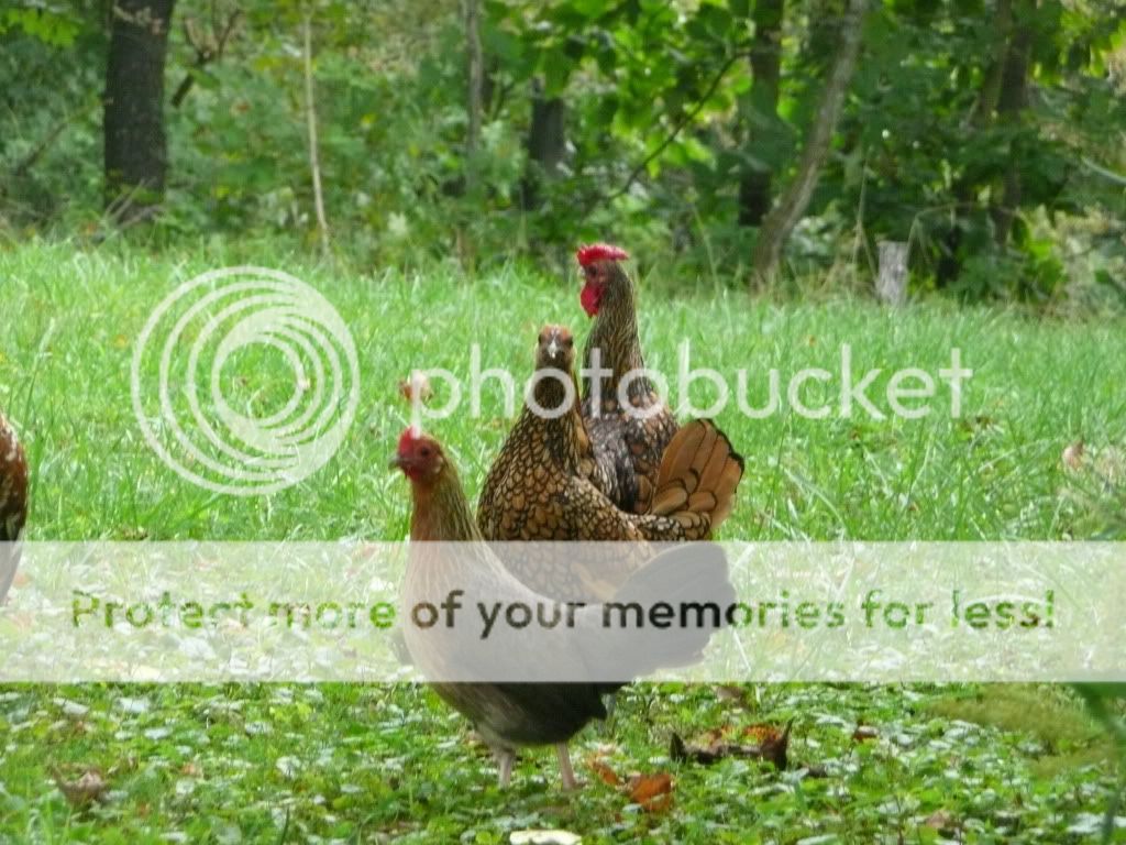 august28th2011013.jpg