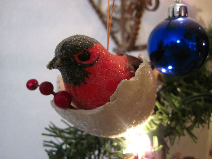 20111217_26.JPG