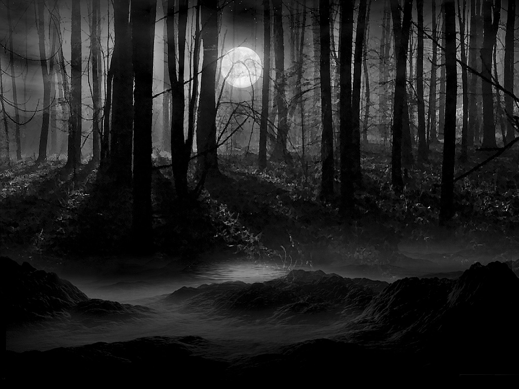Dark_Forest.jpg