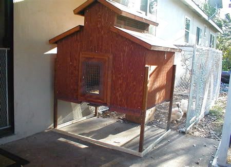 chickbarn2.jpg