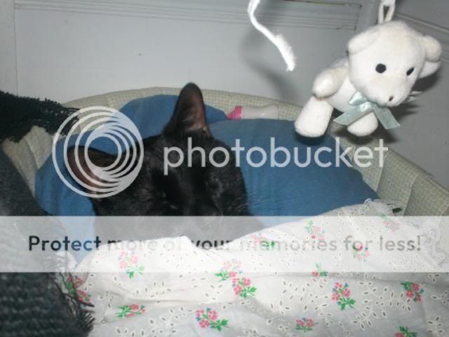Zoepics2010.jpg