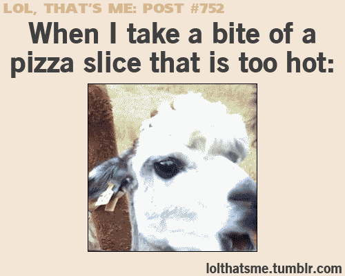 bf0af52588d8709bbee796792fe313ac.gif