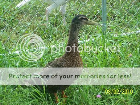 100_5633.jpg