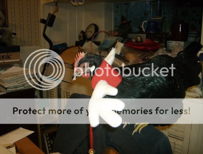 HPIM0125.jpg