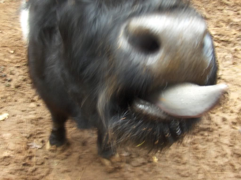 Winterfarm027.jpg