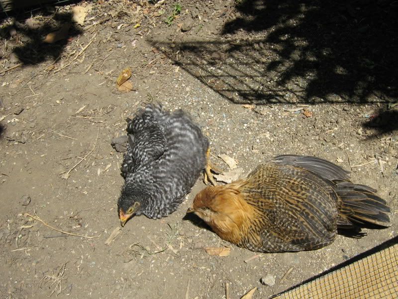 MunkandJoon017.jpg