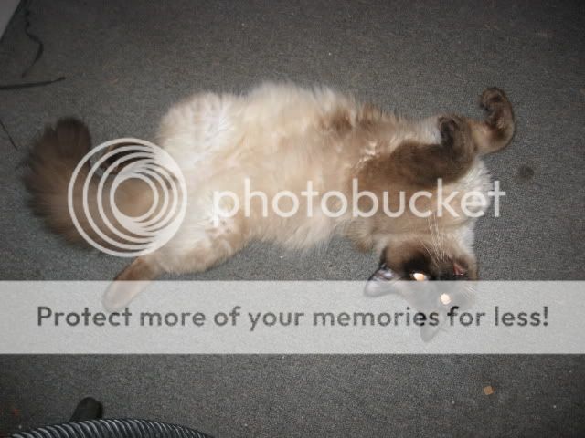 100_0002-3.jpg