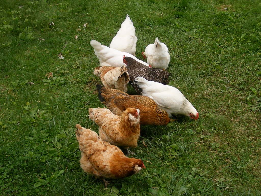 DSCF1444.jpg