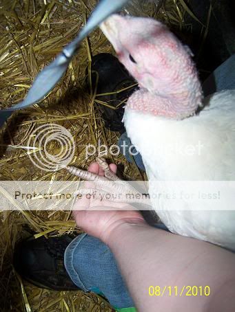 100_5702.jpg