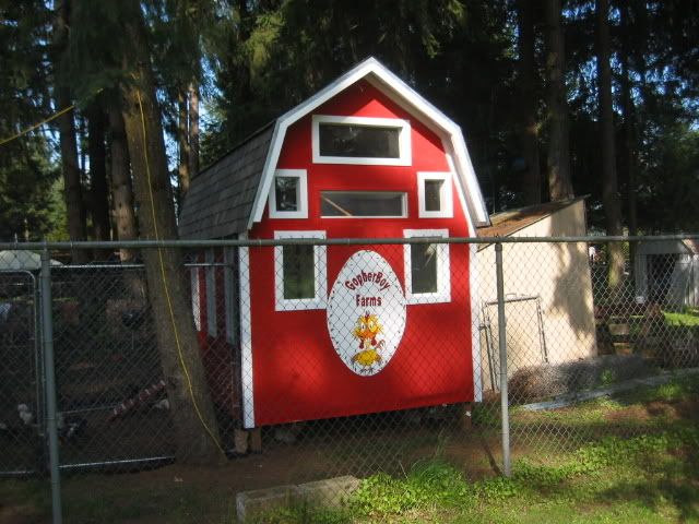 100_0017-8.jpg