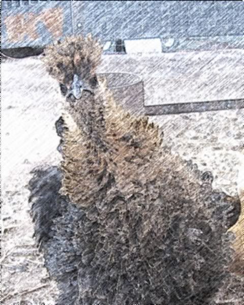 hose-2.jpg