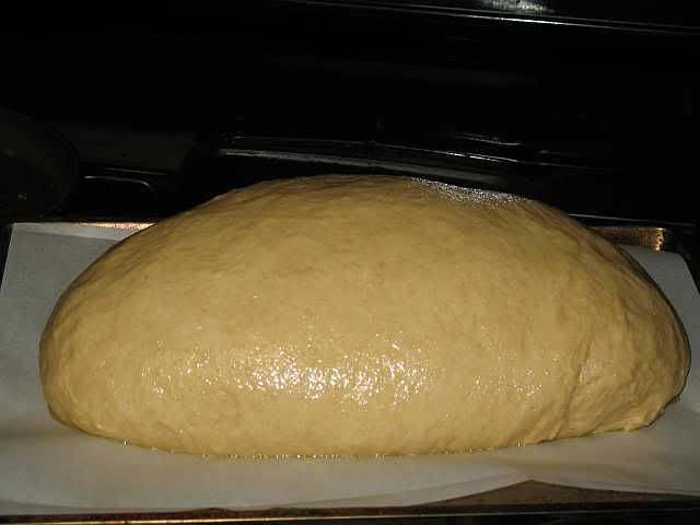 StepsforHoneyWheatBread020.jpg