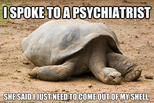 funny-turtle-psychiatrist-shell1.jpg